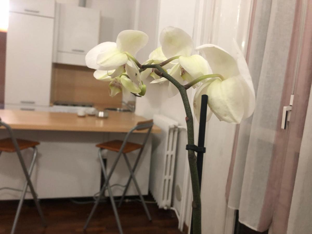Romantica Darsena Милано Екстериор снимка